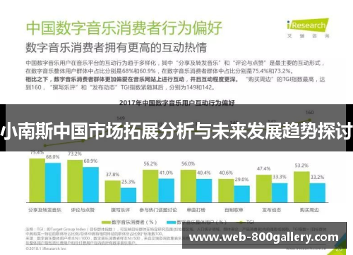 小南斯中国市场拓展分析与未来发展趋势探讨